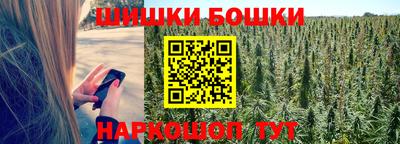 гашик Донской