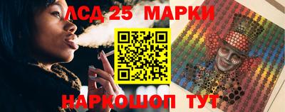 гашик Донской
