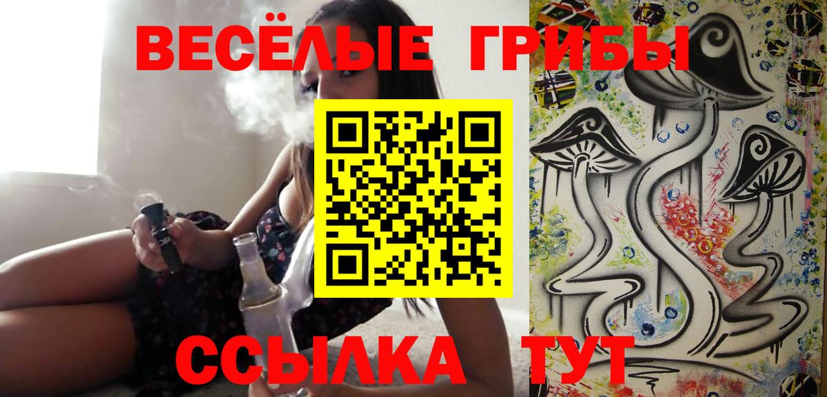 закладки  Псилоцибиновые грибы прущие грибы  Вход с VPN  Галлюциногенные грибы Psilocybe  Минеральные Воды 